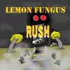 Monk E - Lemon Fungus Rush - Single